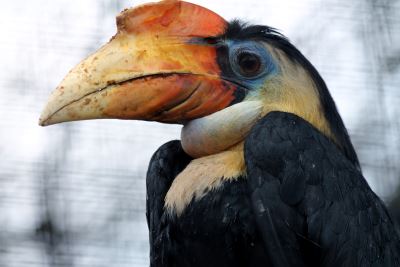 Zoo Schmiding